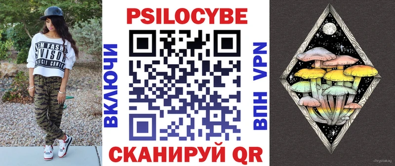 Псилоцибиновые грибы MAGIC MUSHROOMS  наркошоп  Тулун 